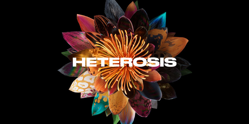 Heterosis